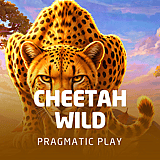 Cheetah Wild