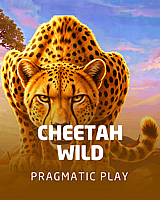 Cheetah Wild