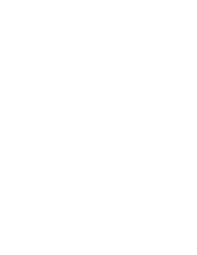 Solidicon
