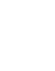 Solidicon
