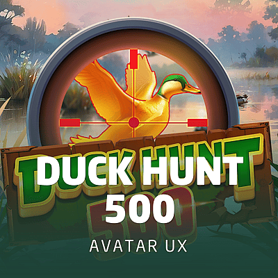Duck Hunt 500