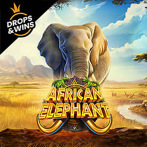 African Elephant